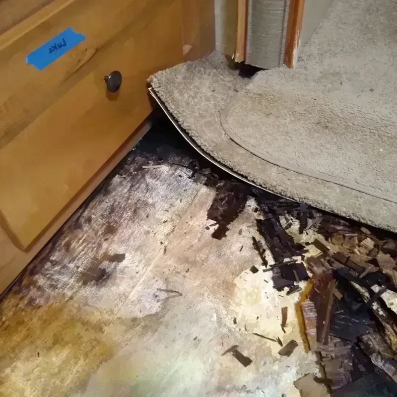 Wood Floor Water Damage in Ephraim, UT